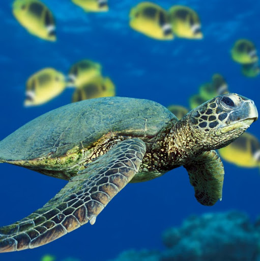 Anthony Kirby Photo 5