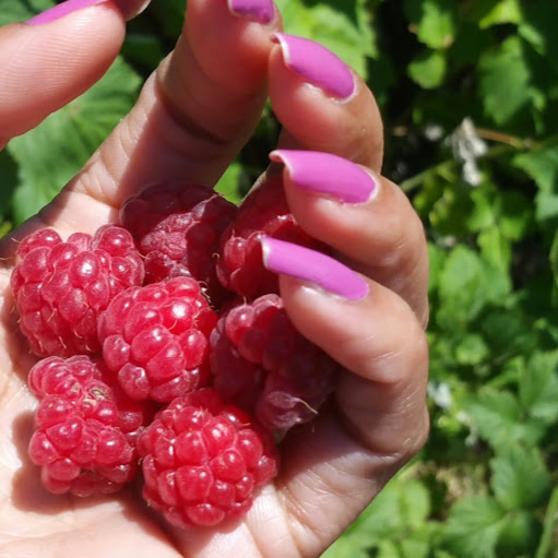 Lesley Benjamin Photo 13