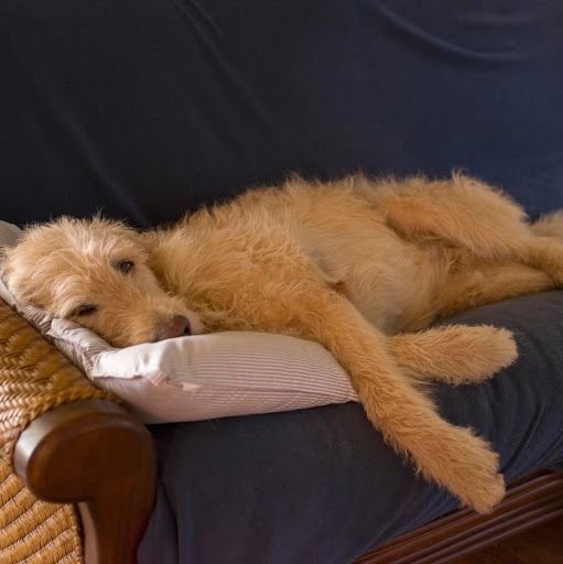 Steven Brewer Photo 9