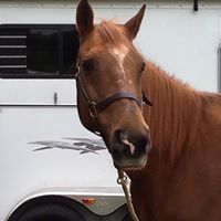 Amy Cannady Photo 16