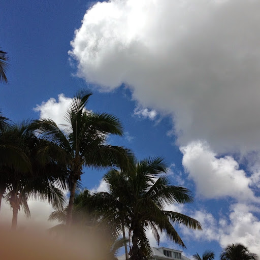 Eva Jackson Photo 25