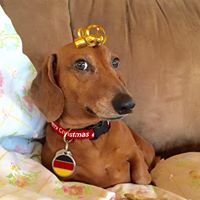 Sarah Snodgrass Photo 17