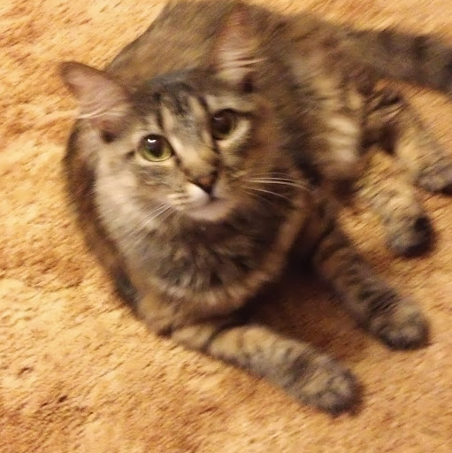 Connie Robison Photo 9