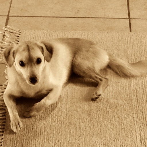 Cindy Cunningham Photo 34 Cindy Cunningham Photo 34