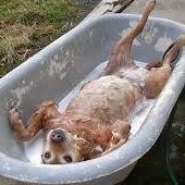 Christine Grubbs Photo 32