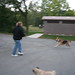 Ann Mclaughlin Photo 7