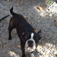 Emily Sterling Photo 31