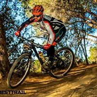 Albert Pech Photo 5