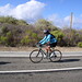 Marianne Callahan Photo 9