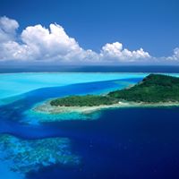 Terrance Ellis Photo 19