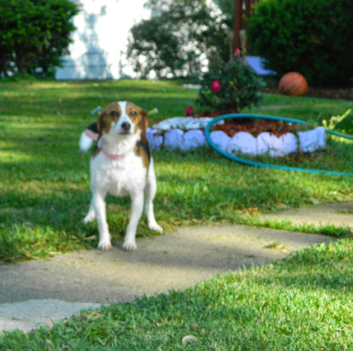 Anne Bucher Photo 17