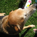 Tammy Murphy Photo 11