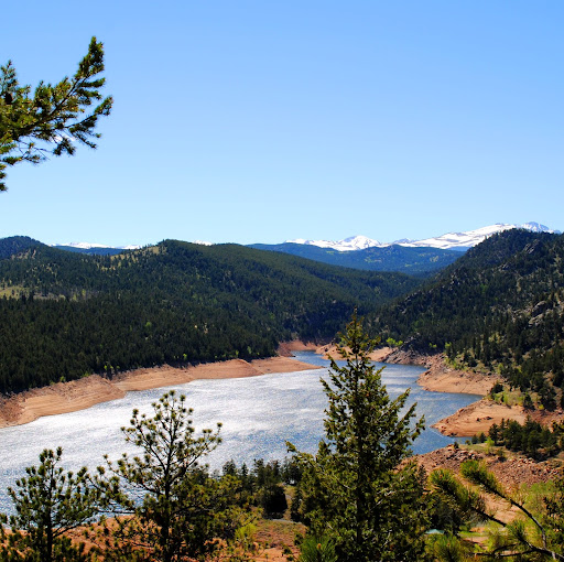 Stephen Bowman Photo 38