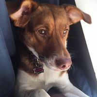 Julianne Graves Photo 2