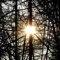 Jennifer Brand Photo 14