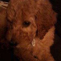 Meghan Hunt Photo 17