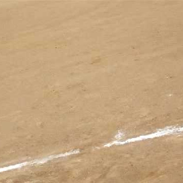 Marshall Meyers Photo 7