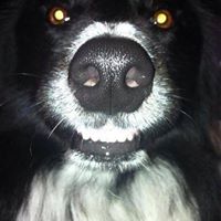 Joanna Clements Photo 21