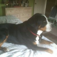 Eric Matheson Photo 6