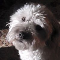 Kathleen Moseley Photo 17