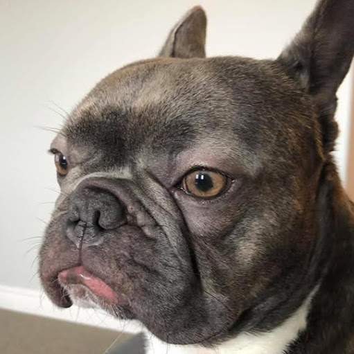 Benjamin Huang Photo 46