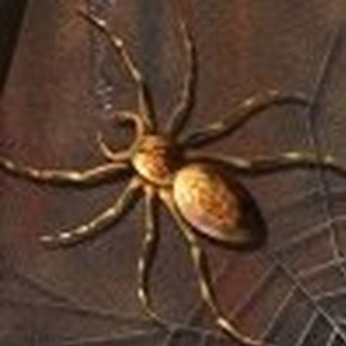 Alicia Armstrong Photo 12 Alicia Armstrong Photo 12