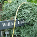William Hudson Photo 19