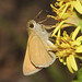 Julia Skipper Photo 19
