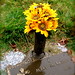 Mary Baxley Photo 14