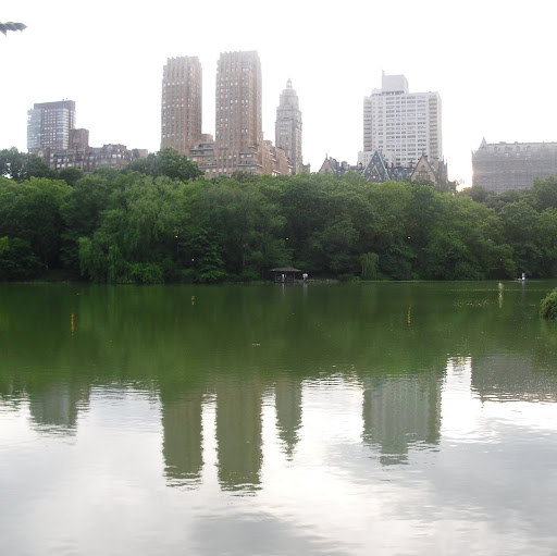 Michelle Fuller Photo 11