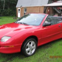 Irene Peterson Photo 16