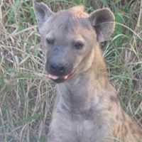 Nick Carpenter Photo 33