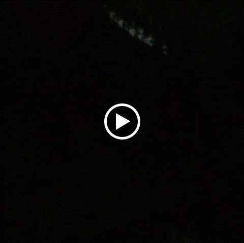 Elijah Watson Photo 12