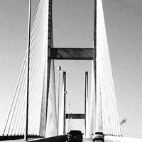 Tina Pruitt Photo 42