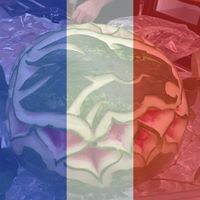 Vicki Sigler Photo 4