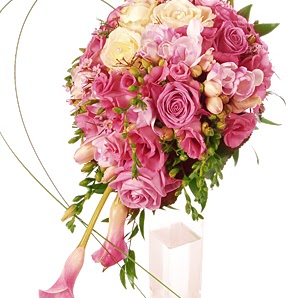 Hattie Matthews Photo 3