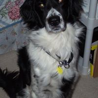 Barbara Meyer Photo 28