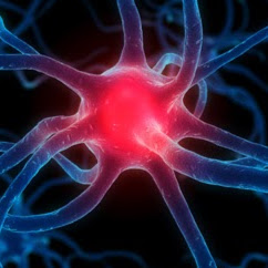 Syed Ahmed Photo 31 Syed Ahmed Photo 31