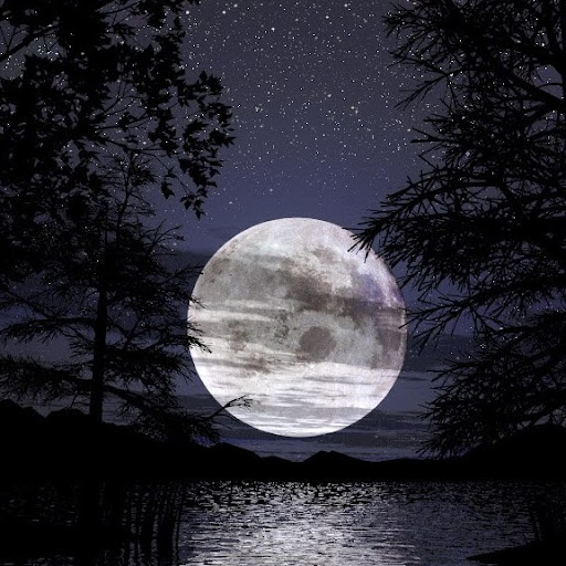 Janet Michael Photo 40