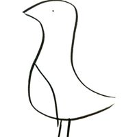 Robin Monroe Photo 21 Robin Monroe Photo 21