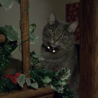 Kristi Summers Photo 31