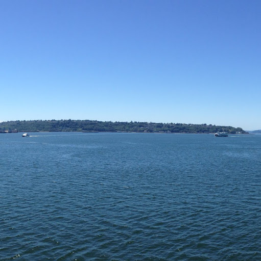 Daniel Fine Photo 10