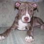 Janie Bennett Photo 8