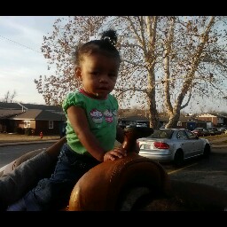 Derrick Cook Photo 24