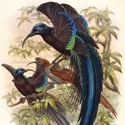 Susan Trombley Photo 20