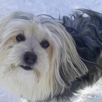 Christina Herrmann Photo 13