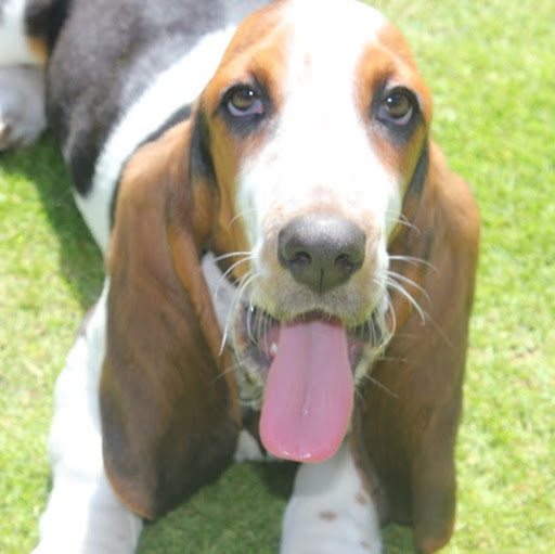 Frank Herbert Photo 36