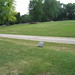 Elizabeth Freund Photo 16
