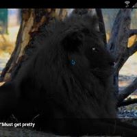 Christopher Traylor Photo 14