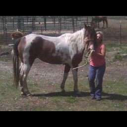 Janice Mcintosh Photo 14